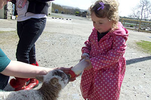 childrens-farm-park