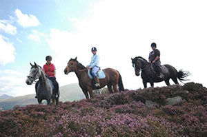 snowdonia-riding-stables