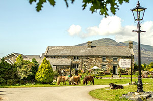 tyddyn-du-farm