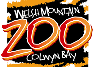 welsh-mountain-zoo